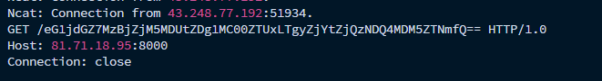 image-20260331131319701