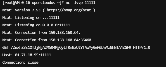 image-20251205221527337