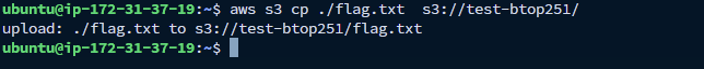 image-20260601133159947